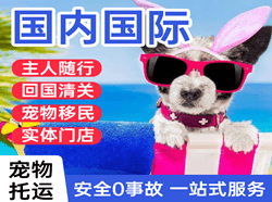 吴圩机场空运国际宠物托运 【国
